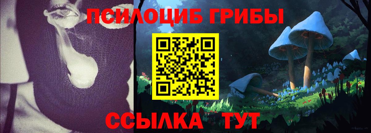 Петровск  Галлюциногенные грибы Magic Shrooms  Галлюциногенные грибы GOLDEN TEACHER  Вход с VPN 