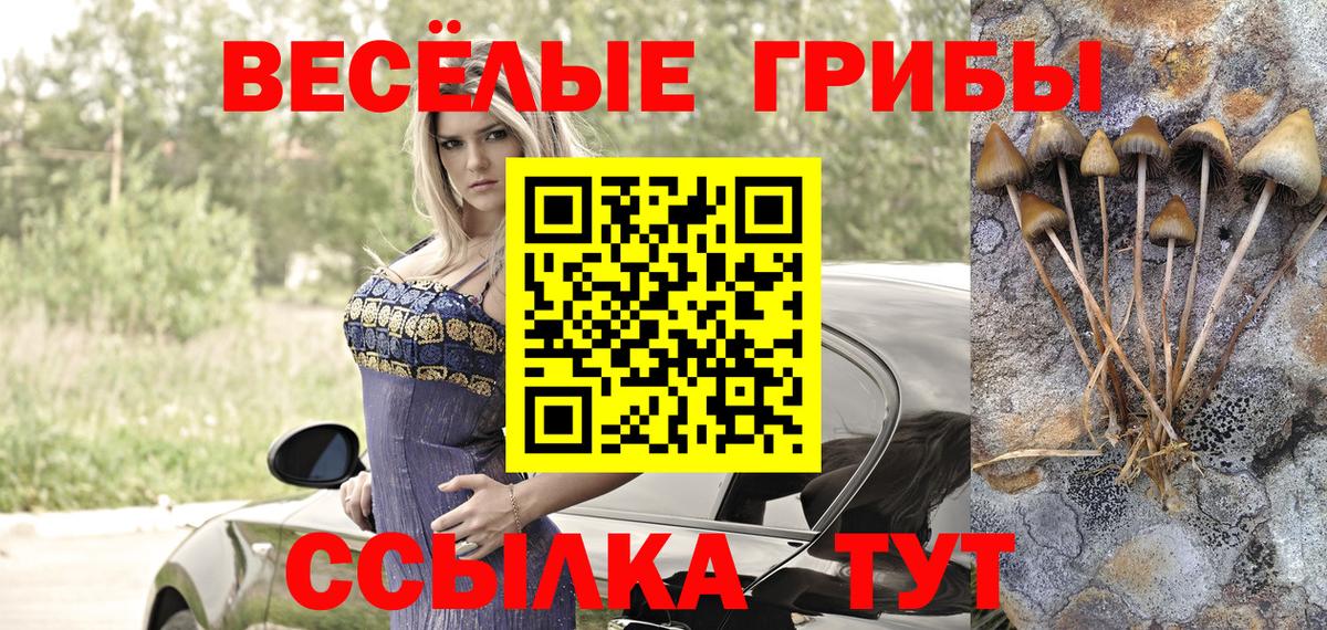 Галлюциногенные грибы Magic Shrooms Петровск
