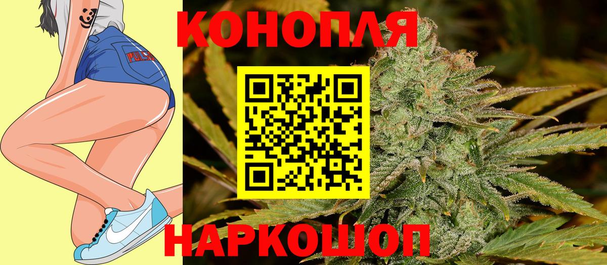 Конопля планчик Петровск